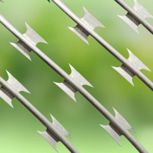 Razor Wire Fence